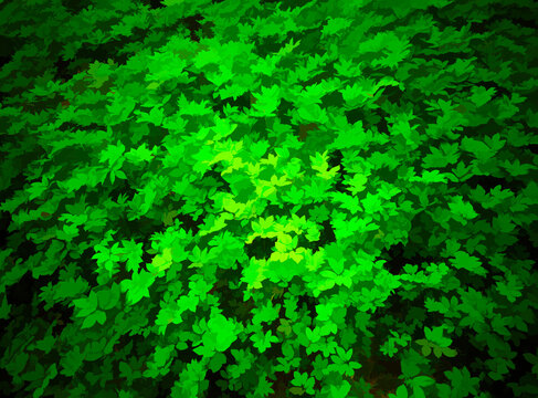 Green grass in spring garden illustration background