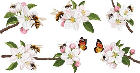 Hand drawn vector set of honey bees and monarch butterflies pollinating white apple blossom flowers on spring branches. © MdNipon