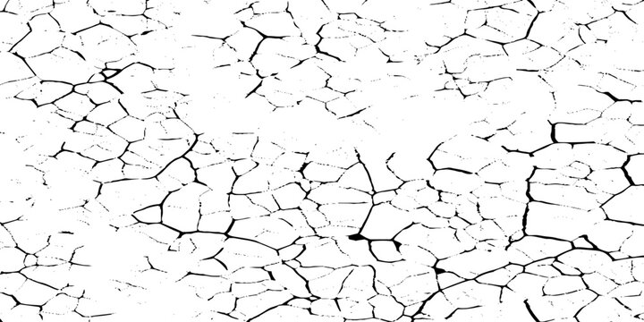 Cracked earth texture background with black lines on white, Dry soil pattern for design, Drought concept
