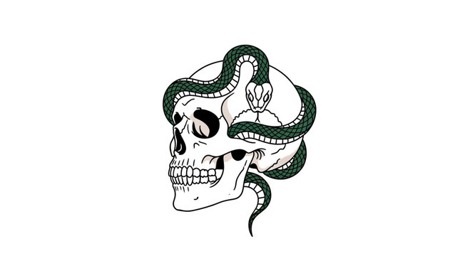 Skull with Snake Illustration