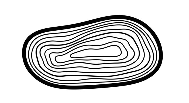 Black and white topographic map contour.
