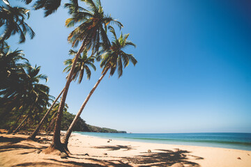 Obraz premium Mexican beach, in Jalisco, called Chacala, a place to enjoy the sea, the waves and the sand among mountains