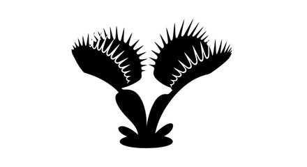 Venus flytrap, carnivorous plant, black silhouette, plant icon, botanical illustration isolated on White Background © MITURANI
