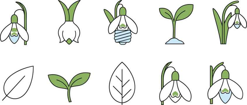 Simple flat snowdrop flower icon set with green leaves and galanthus sprouts isolated on white background vector.