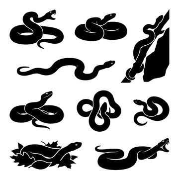 Black and white vector silhouette set of Agkistrodon Contortrix snake