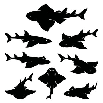 Back and white vector silhouette set of Angelshark.