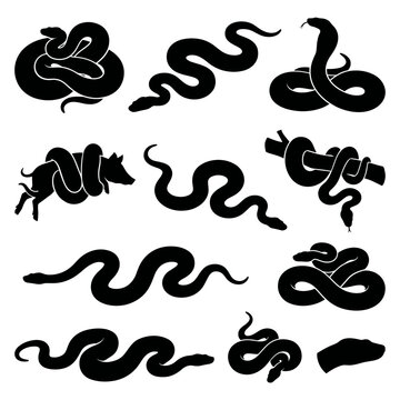 Back and white vector silhouette set of Anaconda