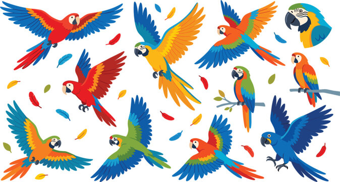 Flying Tropical Parrot Vector Set with Colorful Macaws Exotic Birds and Vibrant Jungle Wildlife Illustrations