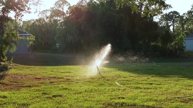 Mobile tripod sprinkler system watering backyard grass during hot summer weather.