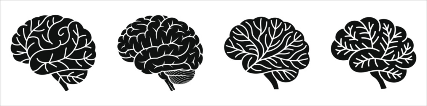 Eco Friendly Brain Vector Silhouette Set with Leaf Pattern Texture for Green Thinking Sustainability Concept Environmental Awareness Organic Mind Creative Innovation and Nature Inspired Mental Health