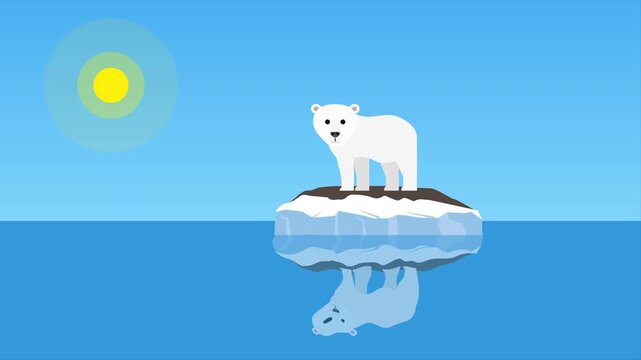 global warming polar bear cub on melting ice floe iceberg in ocean moition graphics animation video footage