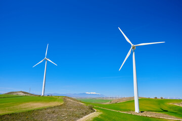 Fototapeta premium Windmills for renewable electrical energy production