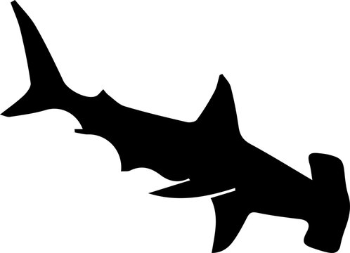 Hammerhead shark silhouette black vector illustration isolated