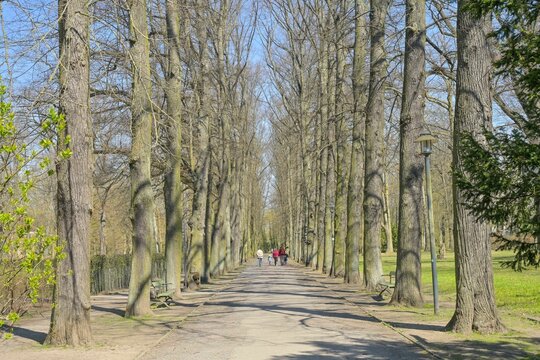 Lindenallee, Albert-Brodersen-Allee, Schlo&szlig;park Biesdorf, Marzahn-Hellersdorf, Berlin, Deutschland