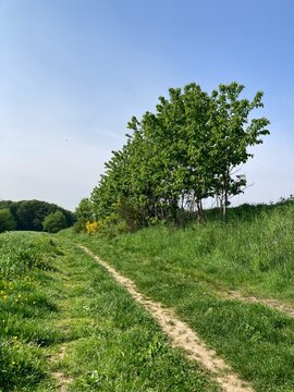 Feldweg in der Natur im Fr&uuml;hling im Bergischen Land