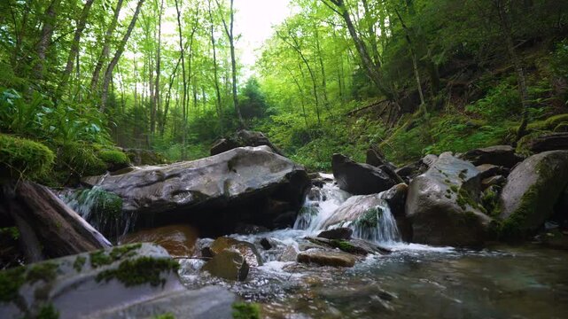 Tranquil forest creek running over stones and small cascades beneath a leafy canopy, creating a serene natural landscape with fresh flowing water.