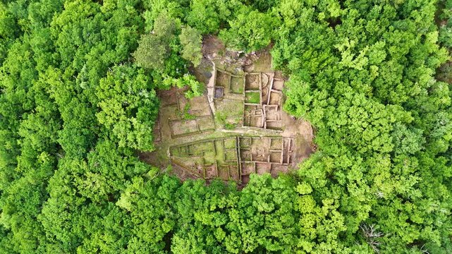 Aerial view of Castro de Armea ruins surrounded by green forest