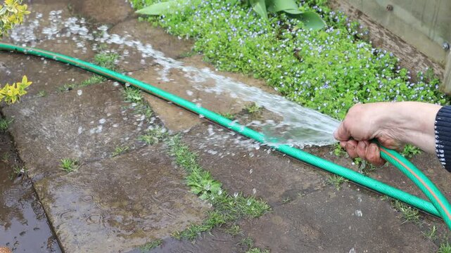 Man Washing Garden Path Tiles with Water Hose, Cleaning Mud and Soil from Concrete Pavement After Gardening Work, Close-up of High Pressure Water Spray Clearing Dirt in Backyard, Garden Maintenance