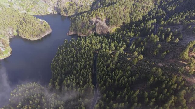 Aerial view of the Hornos dam in Tejeda, Gran Canaria, with fog disappearing over a dense pine forest, revealing a winding mountain road