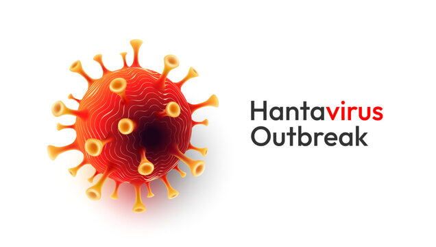 Red Hantavirus cell with Hantavirus Outbreak text on white background, vector illustration