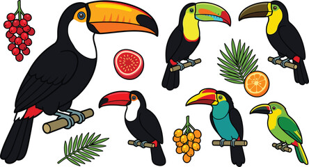 Fototapeta premium set of toucan birds