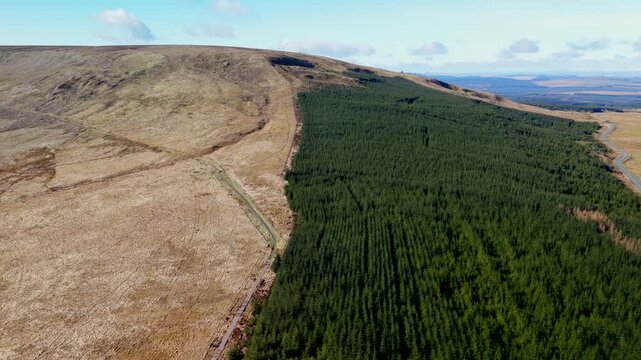 Carter Bar Scotland: 14th March 2026: Drone view of the countryside next to the A68 Scottish Borders. Forest of trees and hills fill the scene. Sitka spruce trees