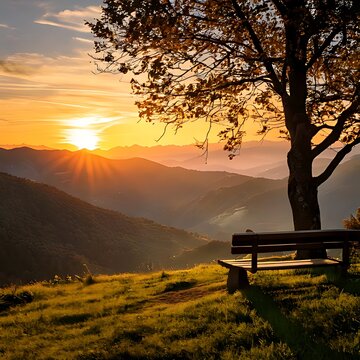 Peaceful bench overlooks sunlit mountain vista