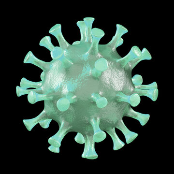 Hantavirus 2026. Andes virus close up