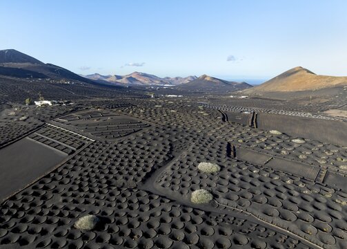 Typical drywall viticulture in volcanic landscape, on volcanic ash, lapilli, aerial view, vines, La Geria wine-growing region, Lanzarote, Canary Islands, Spain