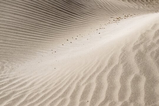 Dune landscape, Playa de Famara, Lanzarote, Canary Islands, Spain