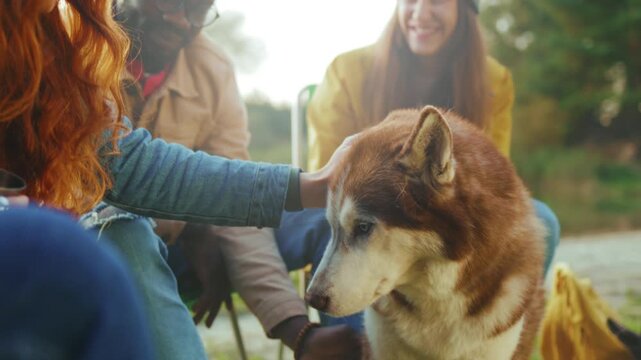 Lively outdoor gathering, Friends sharing joyful outdoor moments, Community bonding through pets and laughter outdoors