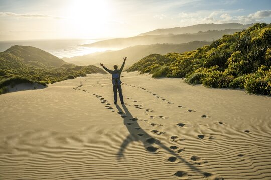 Young man stretching his arms in the air, Yellow lupins (Lupinus luteus) on sand dunes, View of coast, Sandfly Bay, Dunedin, Otago, Otago Peninsula, South Island, New Zealand