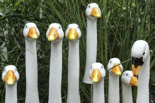 Wooden Geese Heads, decoration, Viktualienmarkt, Munich, Bavaria, Germany