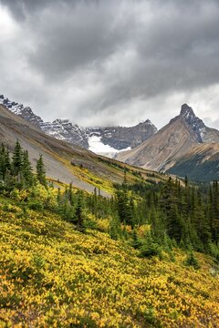 View of mountains and glaciers, Mount Athabasca and Hilda Peak in autumn, Parker Ridge, Icefields Parkway, Jasper National Park National Park, Canadian Rocky Mountains, Alberta, Canada