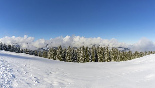 Panorama High Trail, Kleinwalsertal, Allg&auml;u Alps, Vorarlberg, Austria