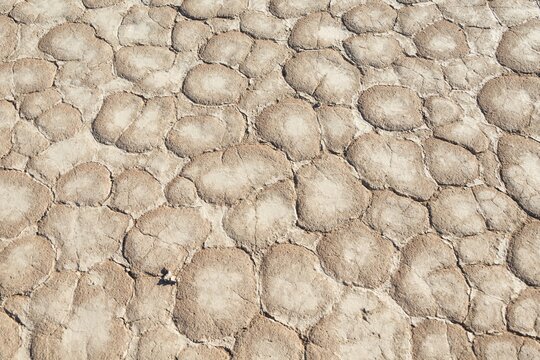 Dried sandy ground, Dead Pan, Sossusvlei, Namib Desert, Namibia