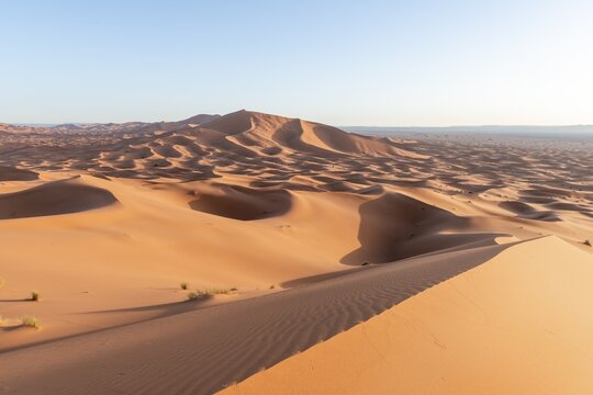 Sand dunes in the desert, dune landscape Erg Chebbi, Merzouga, Sahara, Morocco
