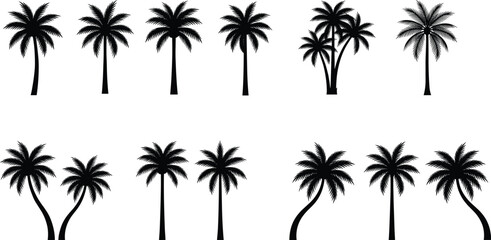 Fototapeta premium Set of black palm tree silhouettes with tropical coconut leaves and exotic trunks isolated on white background for summer vacation and beach travel designs