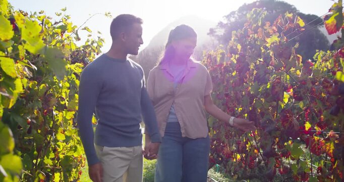 Diverse couple sharing affection while walking vine row, man gesturing to vines, smartwatch visible
