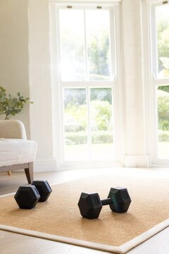Two black hex dumbbells are resting on woven rug on hardwood floor, near armchair, potted plant