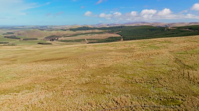 Carter Bar Scotland: 14th March 2026: Drone view of the countryside next to the A68 Scottish Borders. Trees and hills fill the scene. Sitka spruce trees