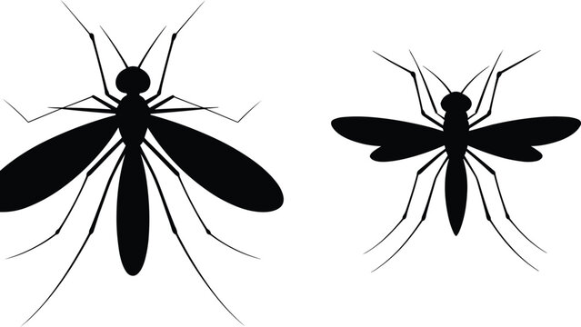 Mosquito, silhouette, set, black, isolated, white, background, insect, parasite, virus, malaria, dengue, pest, control, fly, bug, wing, sting, vector, illustration.