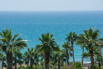 Fototapeta premium Scenic Mediterranean sea coast with lush palm trees under bright sun