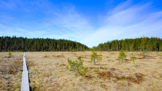 Siikaneva pristine wilderness and wetlands