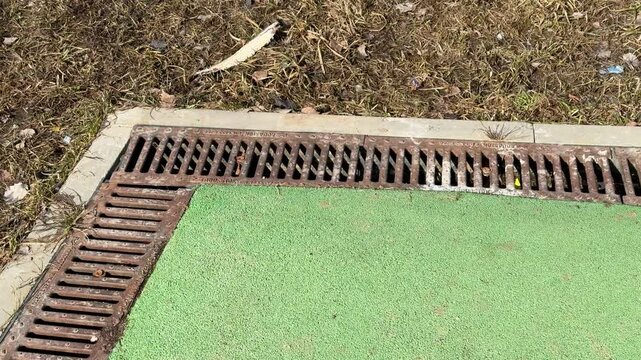 Close-up sports field drainage grate showing rusted iron slots, debris lodged along turf edge, concrete border, textured artificial
