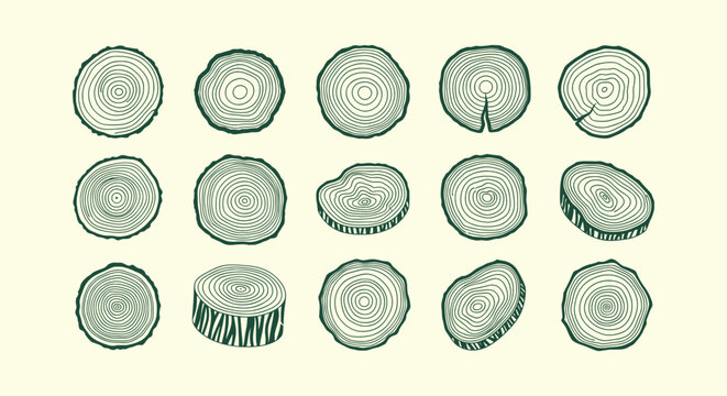 Set of hand-drawn tree ring cross sections and wood slices in vintage rustic line art illustration.