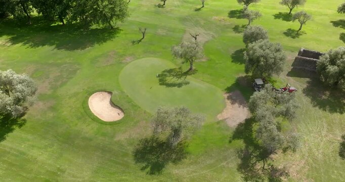 Aerial view of a circular golf green with a visible hole and flag shadow, bordered by vibrant grass, a sand bunker, and the shadow of a tree under bright, direct afternoon sunlight.