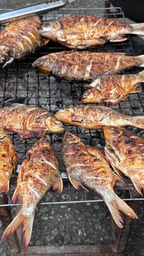 Grilled Fish at an Outdoor Street Market in Laos