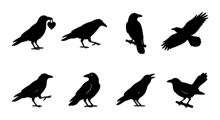 Fototapeta premium Crow Silhouette Collection, Black Bird Vector Icons, Raven Poses, Flying and Perching Wildlife