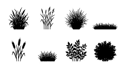 Vector Grass and Bush Silhouettes, Nature Plant Icons, Garden Elements, Landscape Design © VECTOR STORE